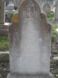 image of grave number 295318